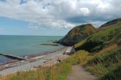 Bray