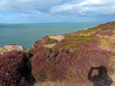 Howth