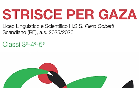 STRISCE PER GAZA - Progetto 